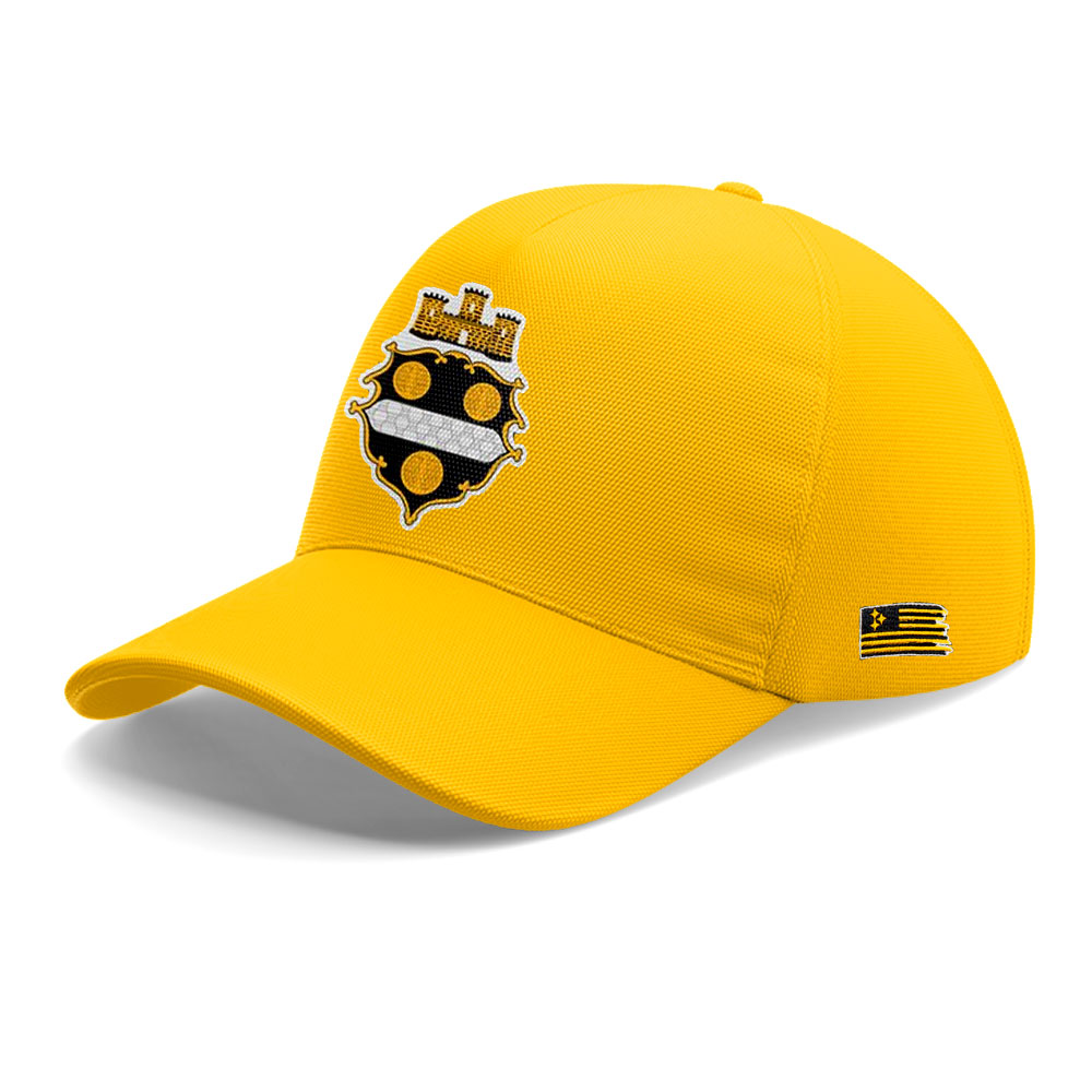 Limited Edition Steelers Football 1933 Legacy Hoodie