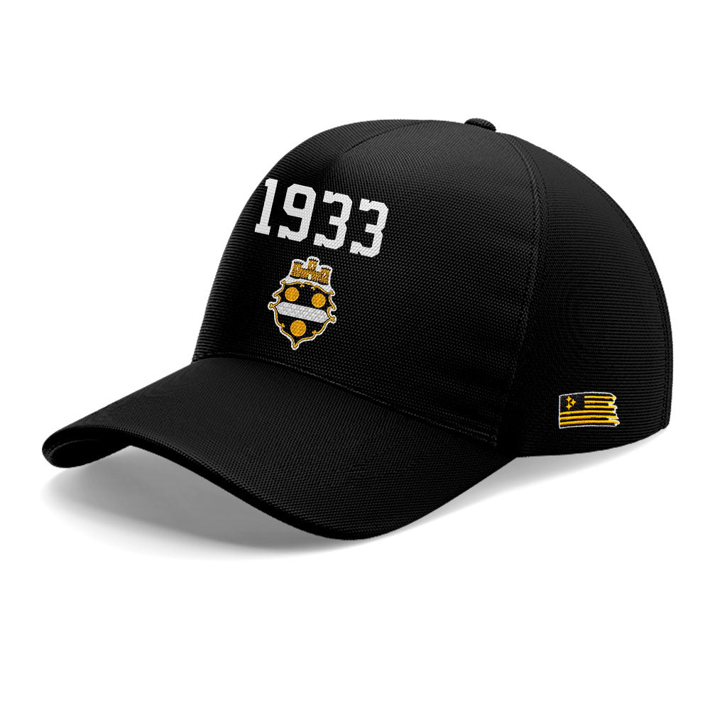 Limited Edition Steelers Football 1933 Legacy Hoodie