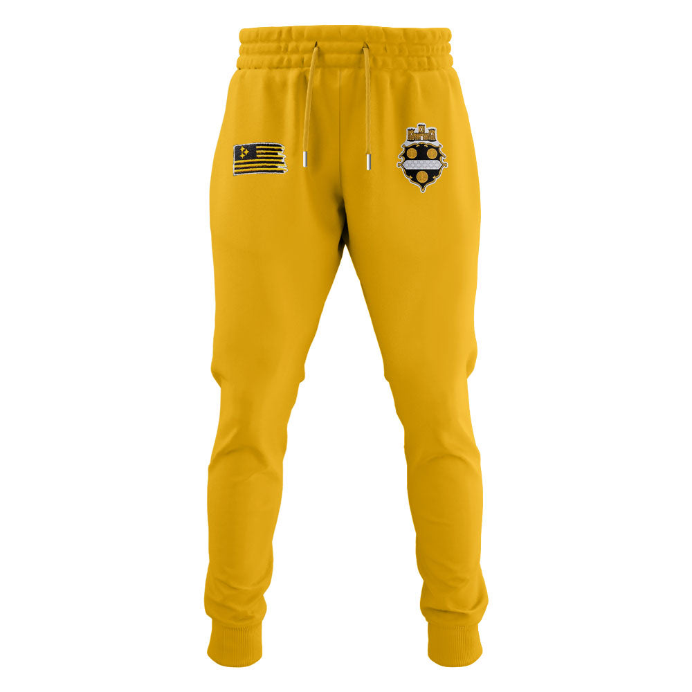 Limited Edition Steelers Football 1933 Legacy Hoodie