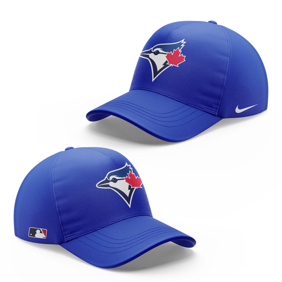 Toronto Blue Jays 2025 MLB Division Champs Hoodie
