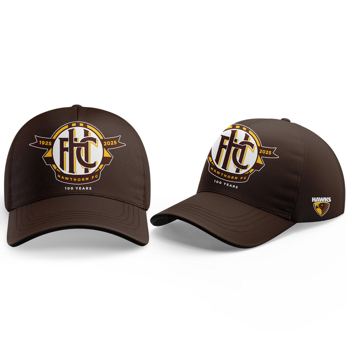 Limited Edition Hawthorn Football Club 100-year commemorative logo Half Zip Hoodie