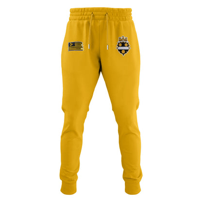 Limited Edition Steelers Football 1933 Legacy Hoodie