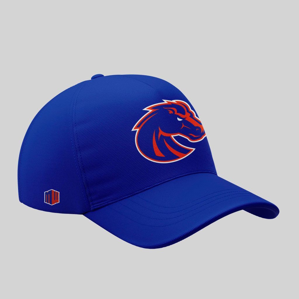 2025 Limited edition Boise State Broncos football hoodie in The Blue and Idaho state